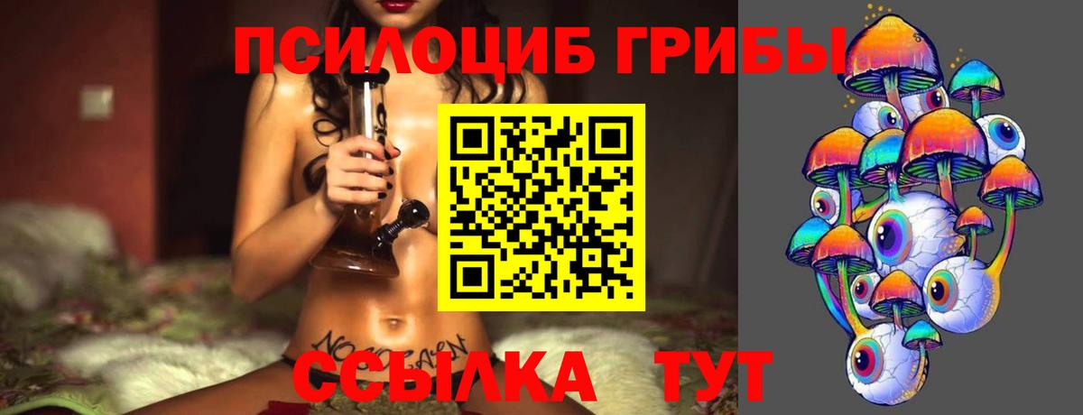 Псилоцибиновые грибы прущие грибы Туймазы