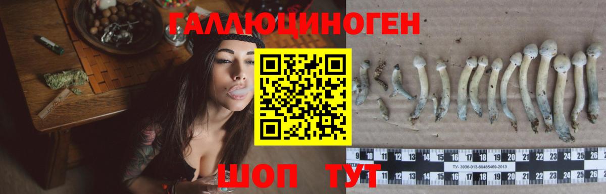 Галлюциногенные грибы Psilocybine cubensis  Псилоцибиновые грибы Cubensis  Туймазы  Вход с VPN 